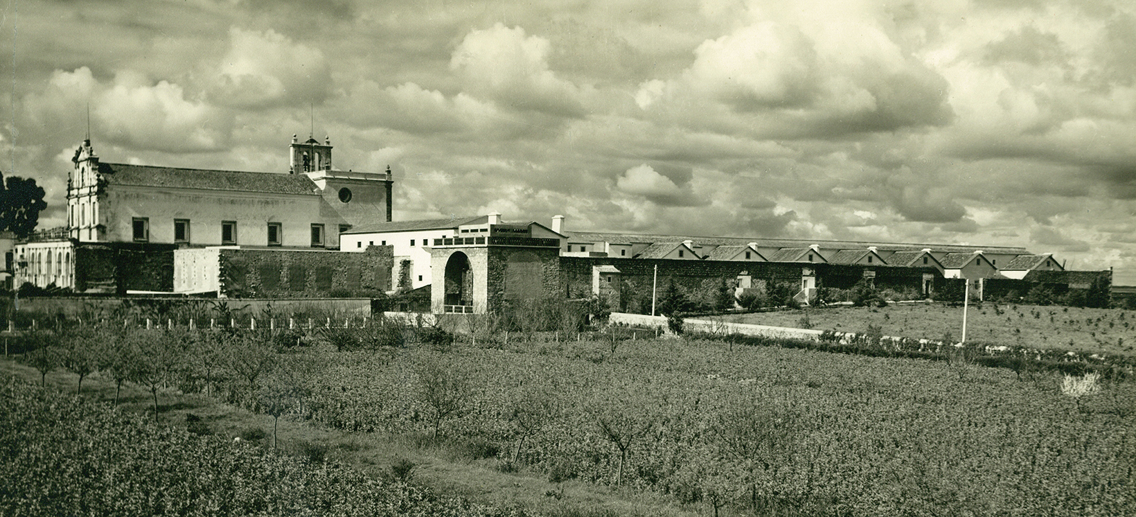 cartuxa_2619