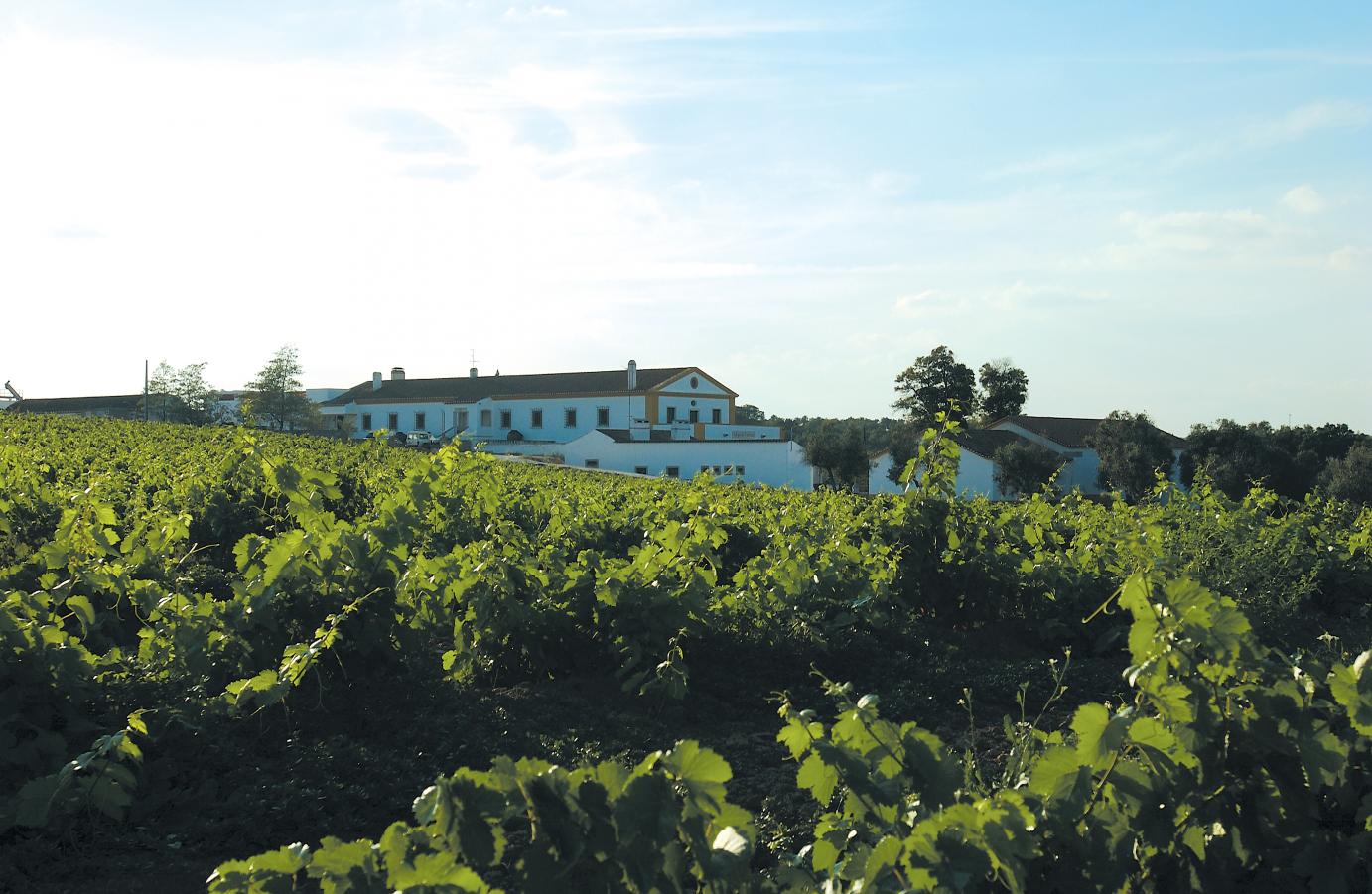 7 - Quinta de Valbom, residência da família Eugénio de Almeida entre 1960 e 1971 Corrida