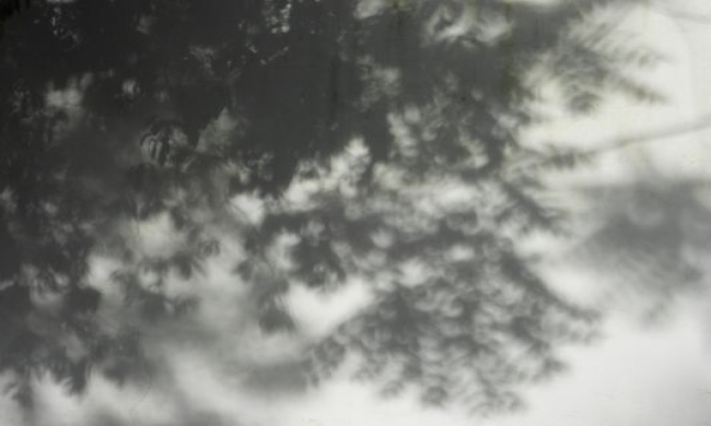 Sombras
